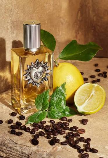 Dolcee & Gabannaa Devotion EDP (Xurry)