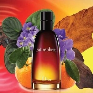 Christian Diorr Fahrenheit Eau De Toilette 100ml (Xurry) #037