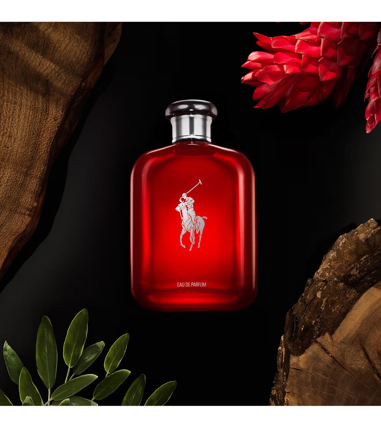 POLO Ralph Lauren Red Parfum (Xurry)