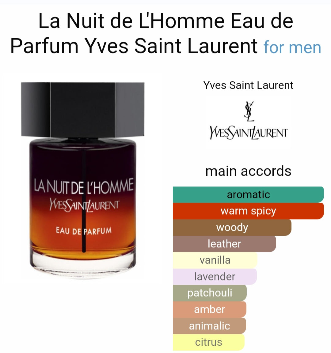 Yves Saintt Laurentt La Nuitt de L'Homme (Xurry)