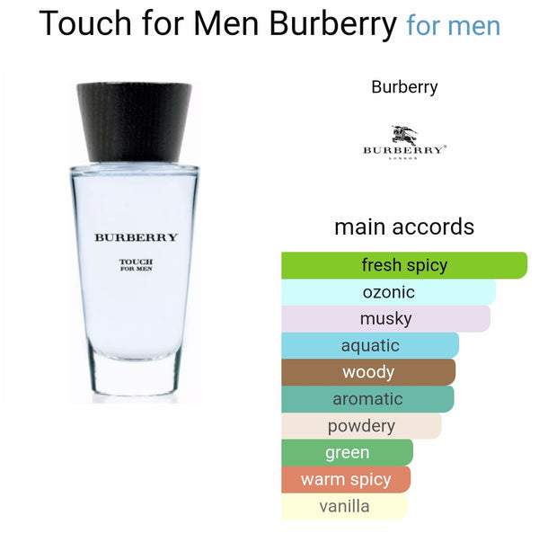 Burberry Touch for Men Eau de Parfum 100ml (Xurry)